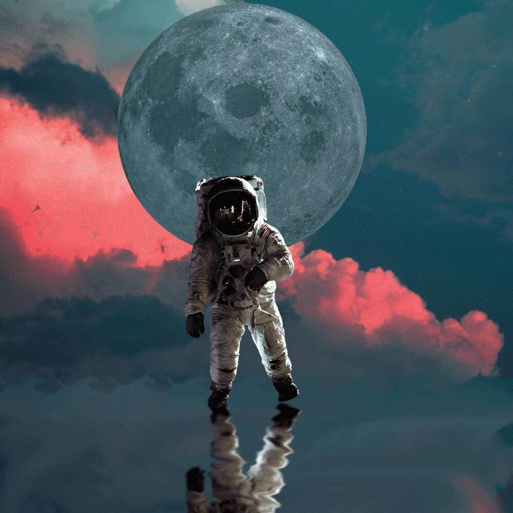 怪我太傻封面