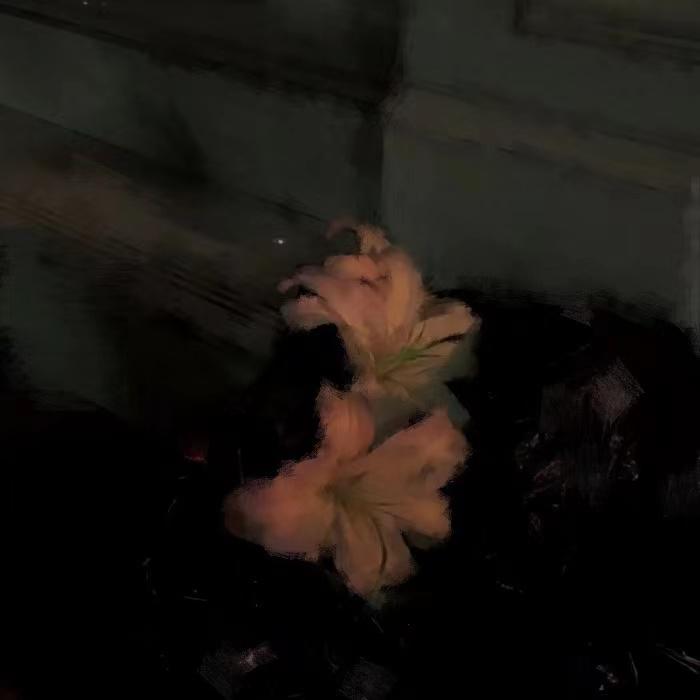 Hatred (Prod EVOMUSIC)_JOC3LYN_Hatred (Prod EVOMUSIC) | 在线播放_Hatred (Prod EVOMUSIC)歌词_Hatred (Prod EVOMUSIC)下载 | 网易云音乐