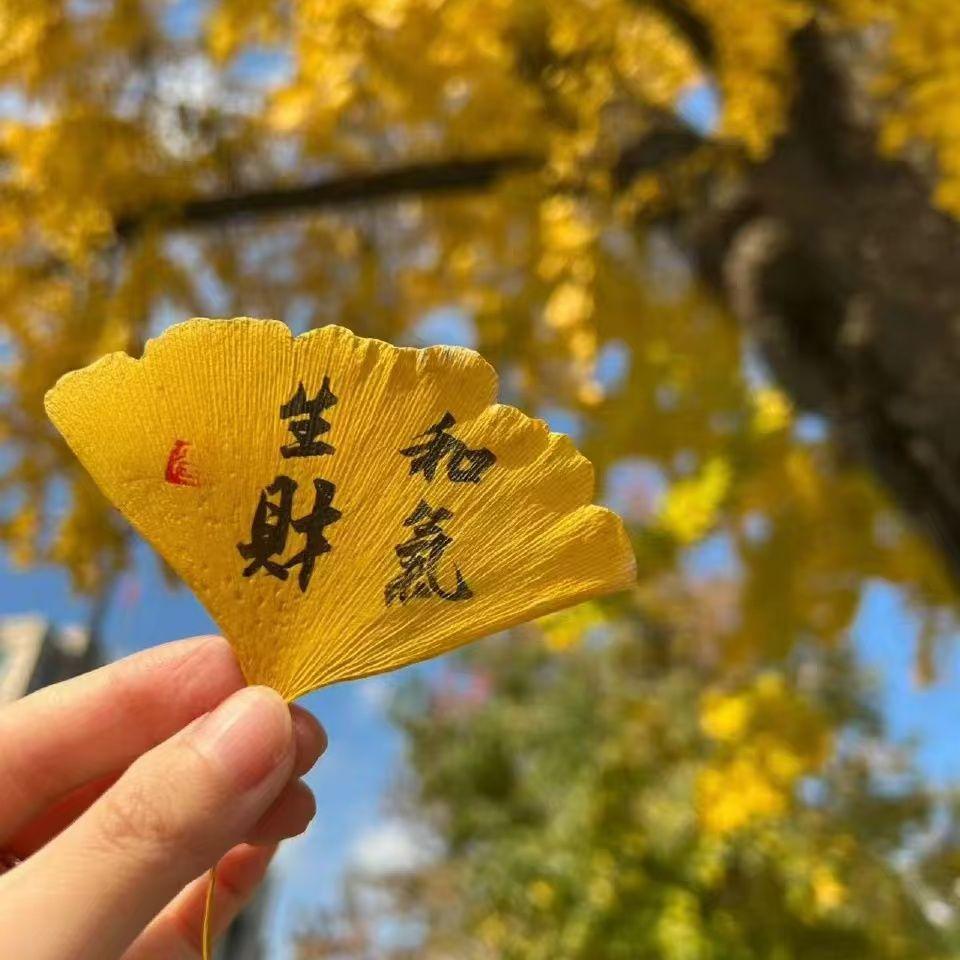 一曲悲歌封面