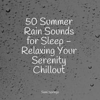 50 Summer Rain Sounds for Sleep - Relaxing Your Serenity Chillout