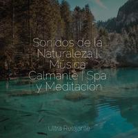 Sonidos de la Naturaleza | Música Calmante | Spa y Meditación