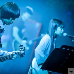 chestnut bakery吉他谱集