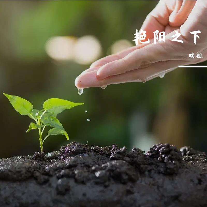 远行人 伴奏封面