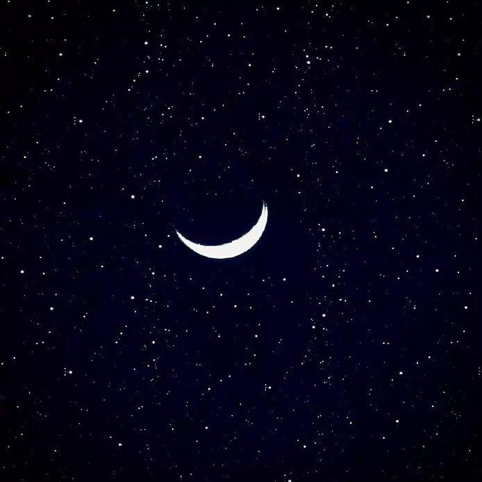 久别重逢才是浪漫的开始