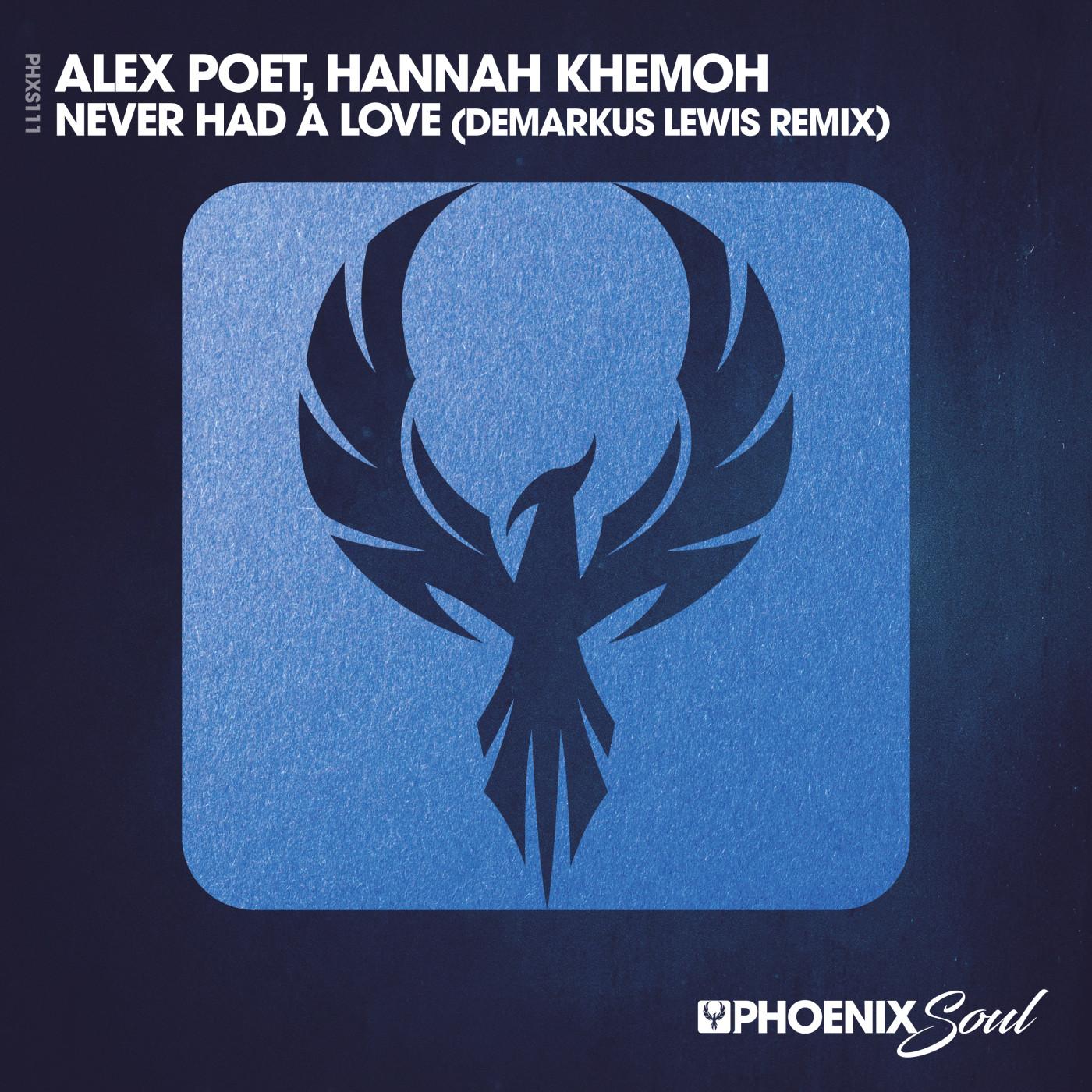 Never Had A Love (Demarkus Lewis' Deez Raw Life Edit)