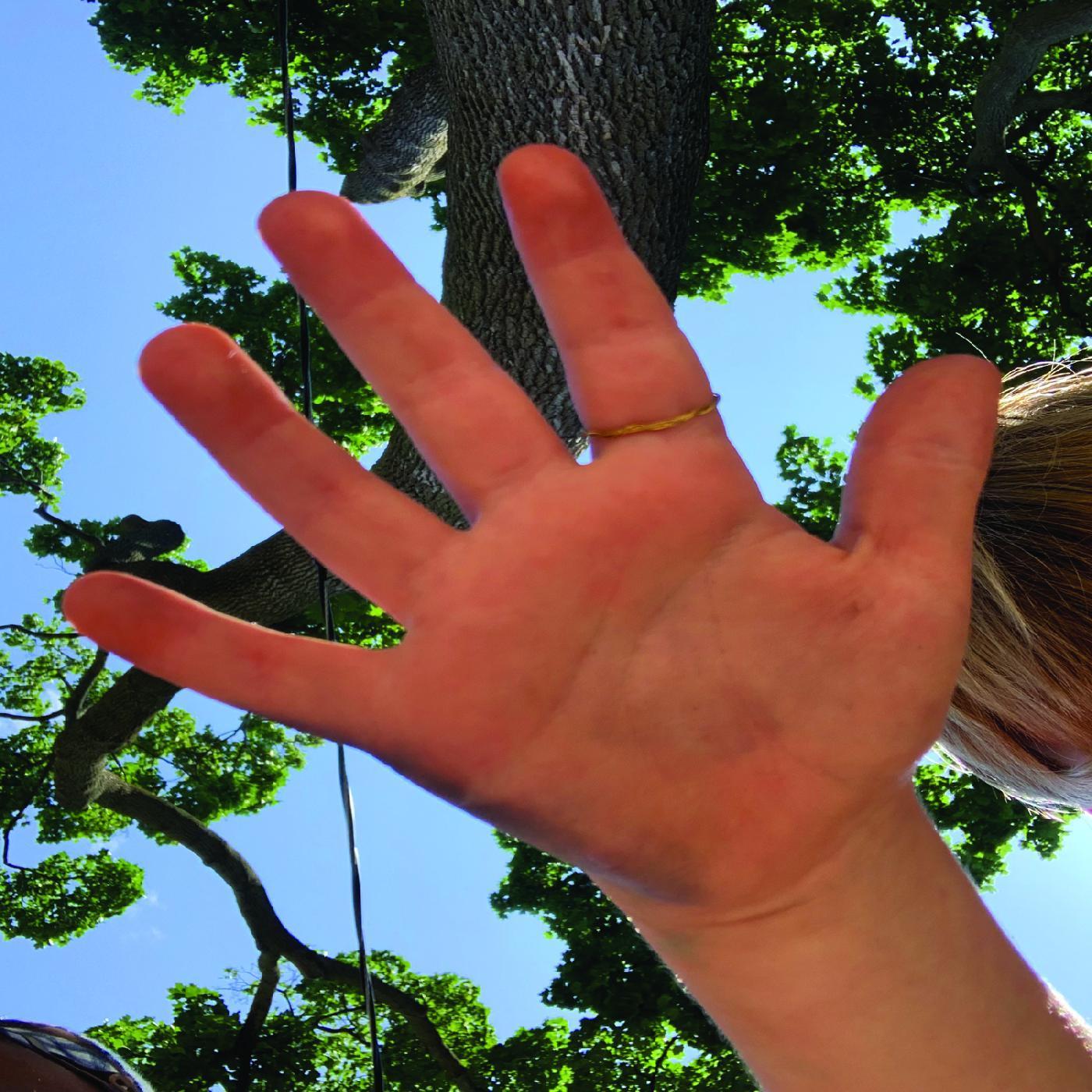 We Choose You (Anja Lauvdal Remix)