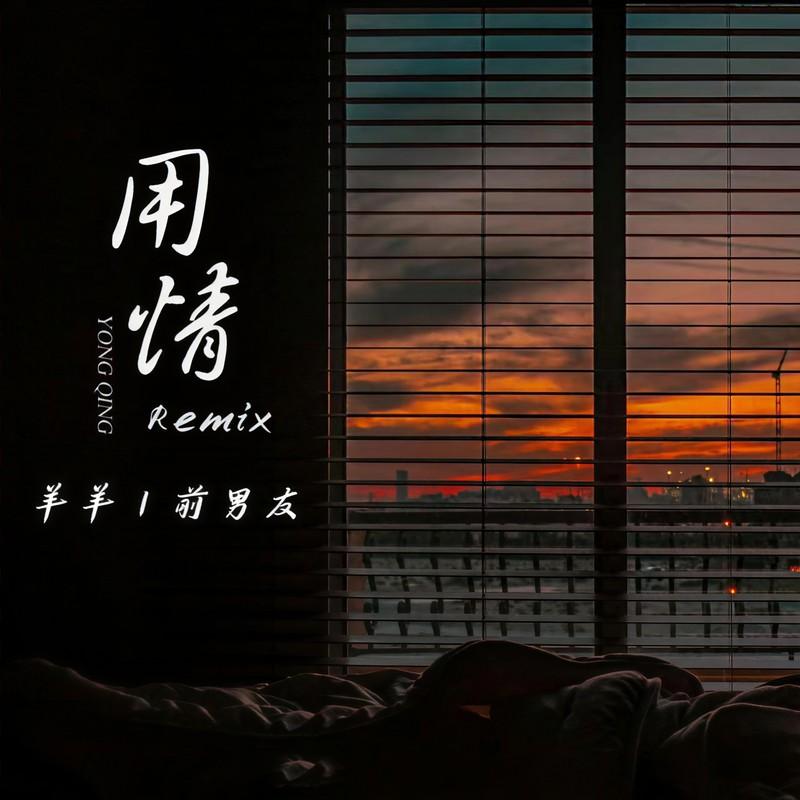 用情 (Remix)封面