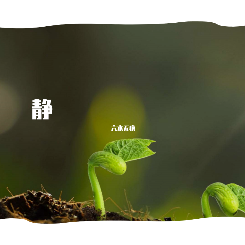黑色的彩虹封面