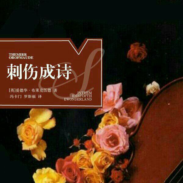 E. The Mirror of Maude（刺伤成诗集合）