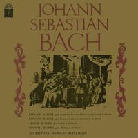 Bach: Concertos