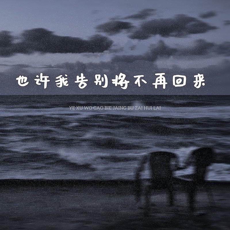 也许我告别将不再回来封面