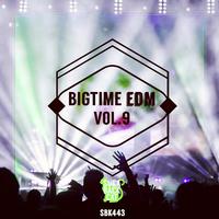 Bigtime EDM, Vol. 9