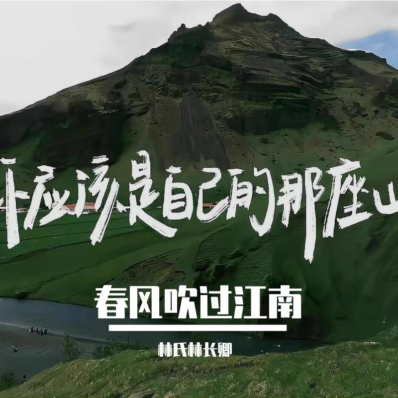 莺尾花女孩 - 林氏林长卿封面