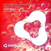 Fortress (The Remixes)