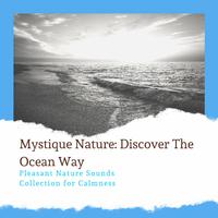 Mystique Nature: Discover The Ocean Way - Pleasant Nature Sounds Collection for Calmness