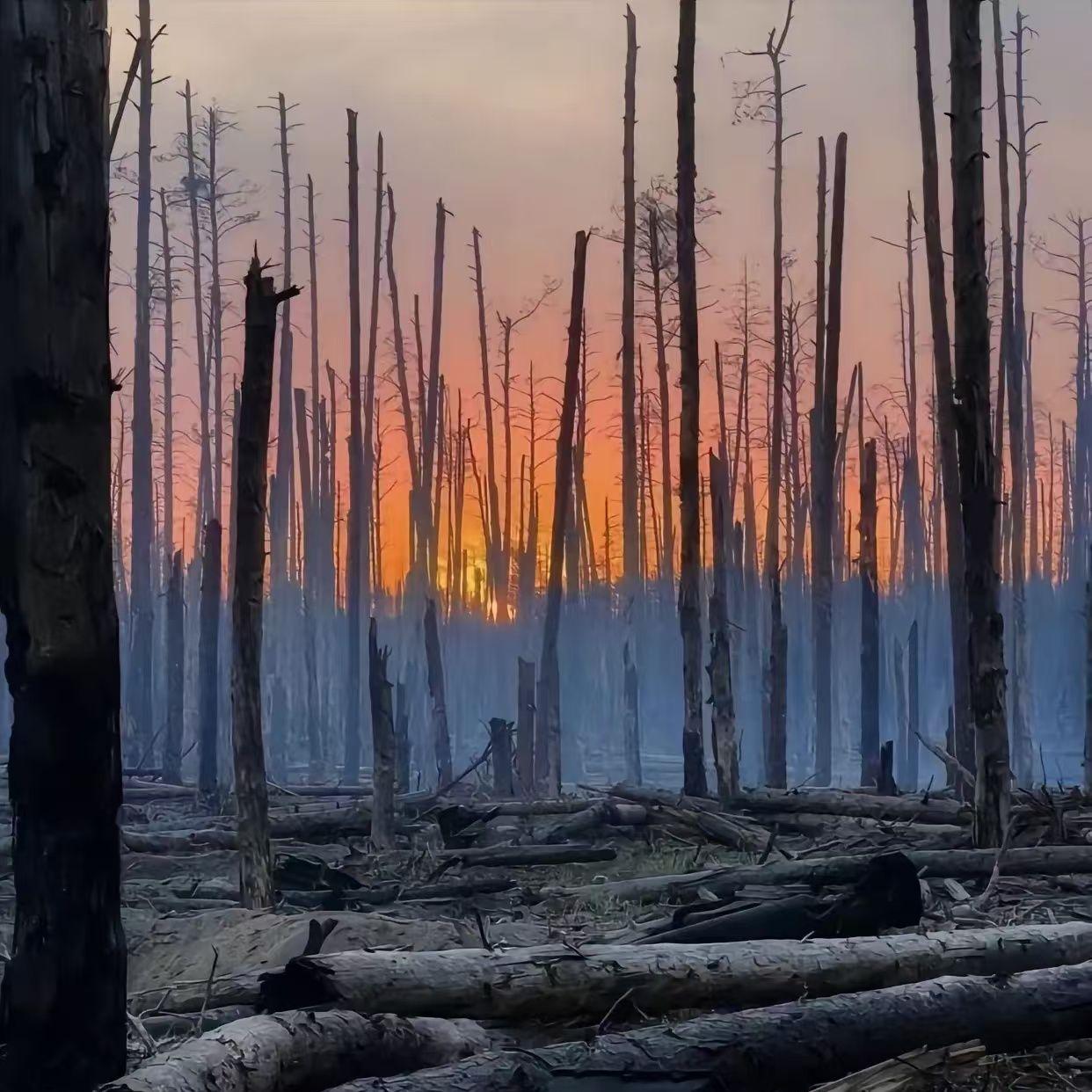 遥远的她 --木头