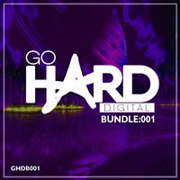 Go Hard Digital Bundle 1