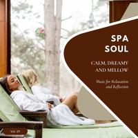 Spa Soul - Calm, Dreamy And Mellow Music For Relaxation And Reflextion, Vol. 29