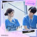 언젠가는 슬기로울 전공의생활 OST Part 6