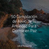 50 Compilación de Alivio de la Ansiedad Para Dormir en Paz