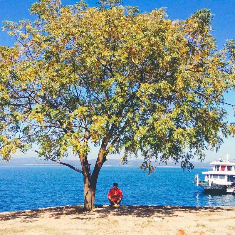 耳机分你一半TQ