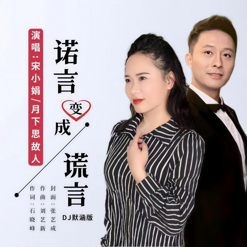诺言变成谎言 (DJ默涵对唱版) - 石晓峰、宋小娟、月下思故人封面