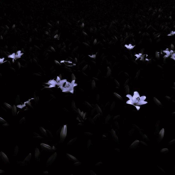 武家坡2021（颜王词秀＋夏小满）