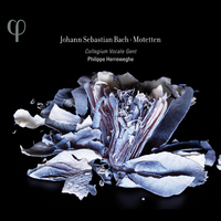 Bach: Motetten, BWV 225-230