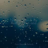 Nature Sounds for Restful Sleep and Serenity