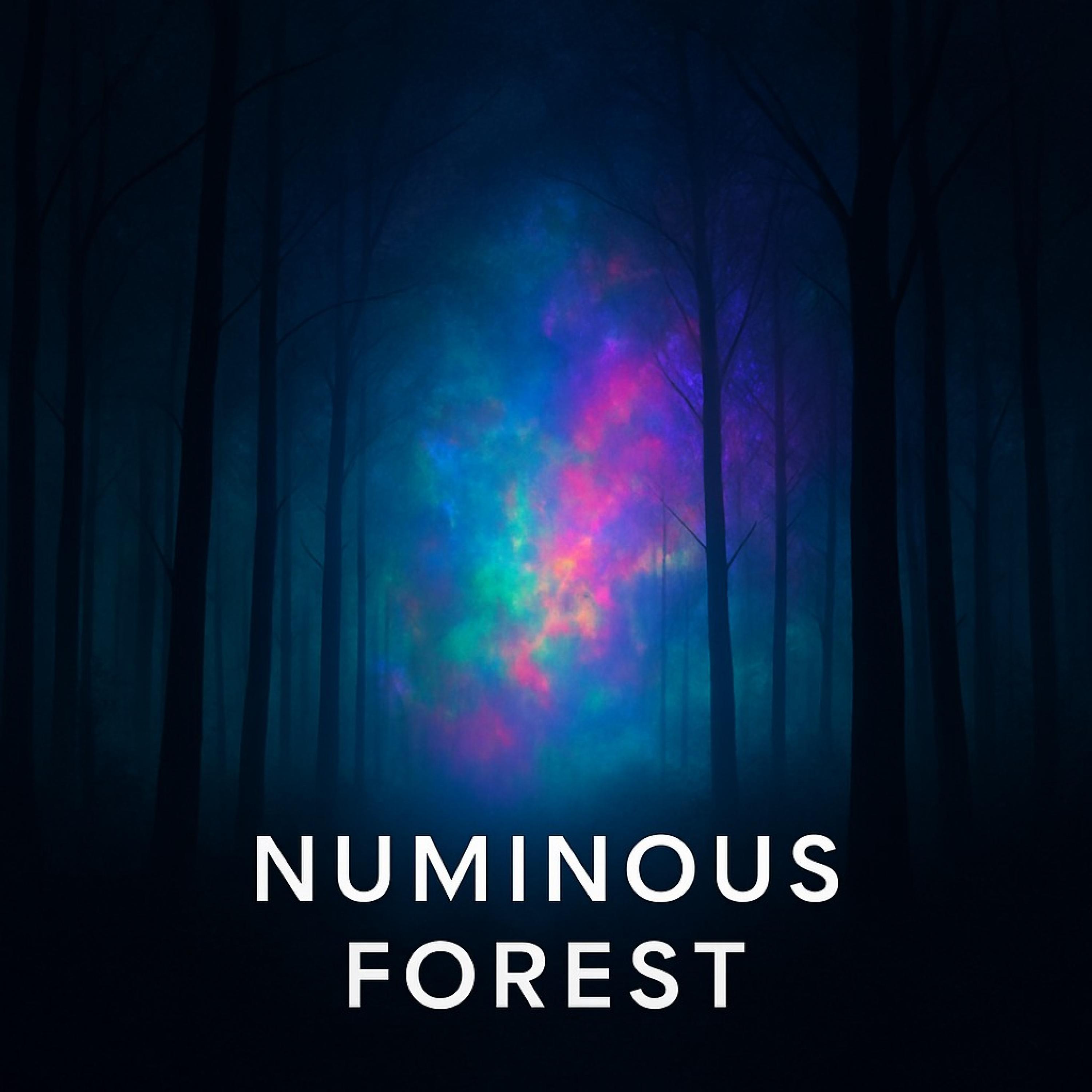 Numinous Forest