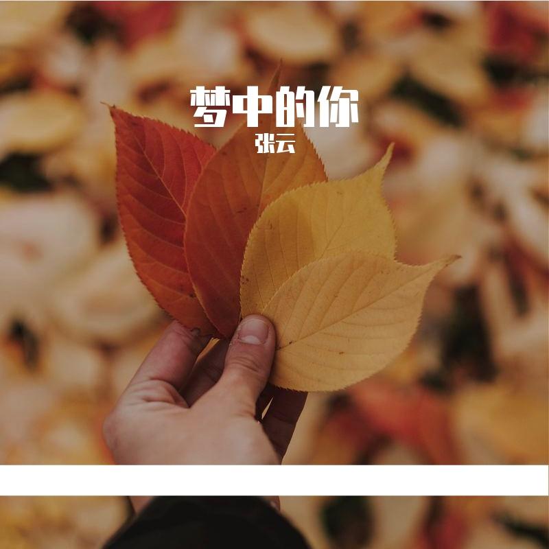 无畏的风帆封面