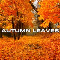 Autumn Leaves