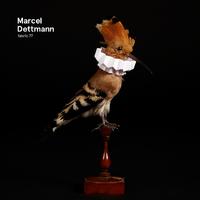 fabric 77: Marcel Dettmann