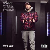 12 Takes Freestyle (feat. Leon Shabba Madigan)