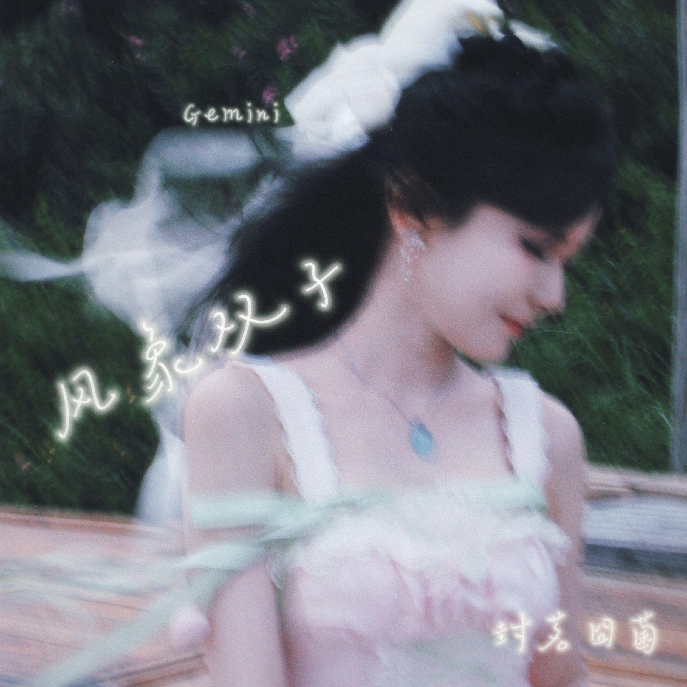 风象双子 - 封茗囧菌封面
