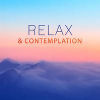 Relax & Contemplation – Nature Sounds for Relaxation, Stress Relief, Calm Mind, Birds Singing, Relaxing Waves, Meditation