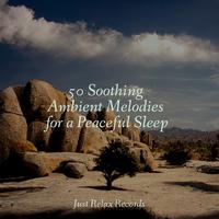 50 Soothing Ambient Melodies for a Peaceful Sleep