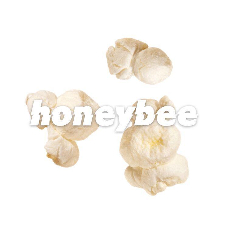 蜜蜂(Demo)封面