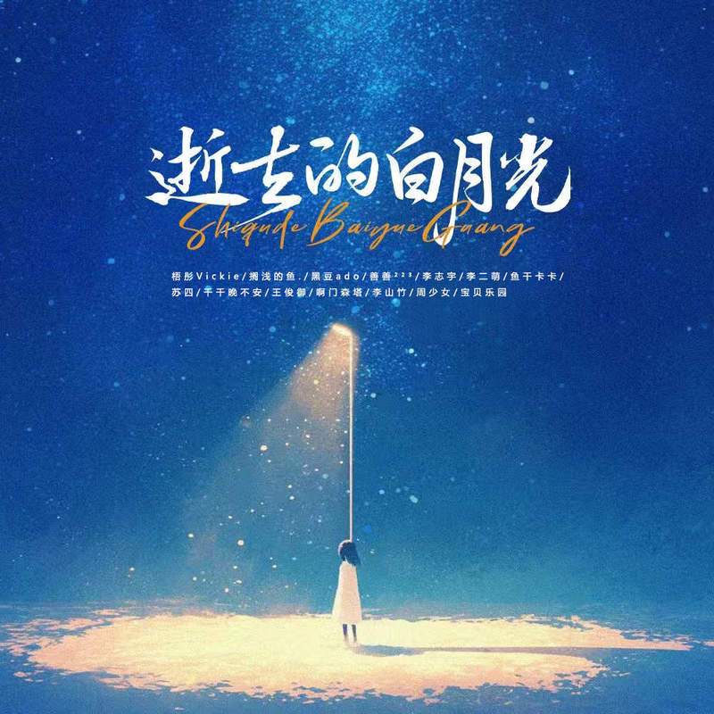 逝去的白月光 (伴奏)封面