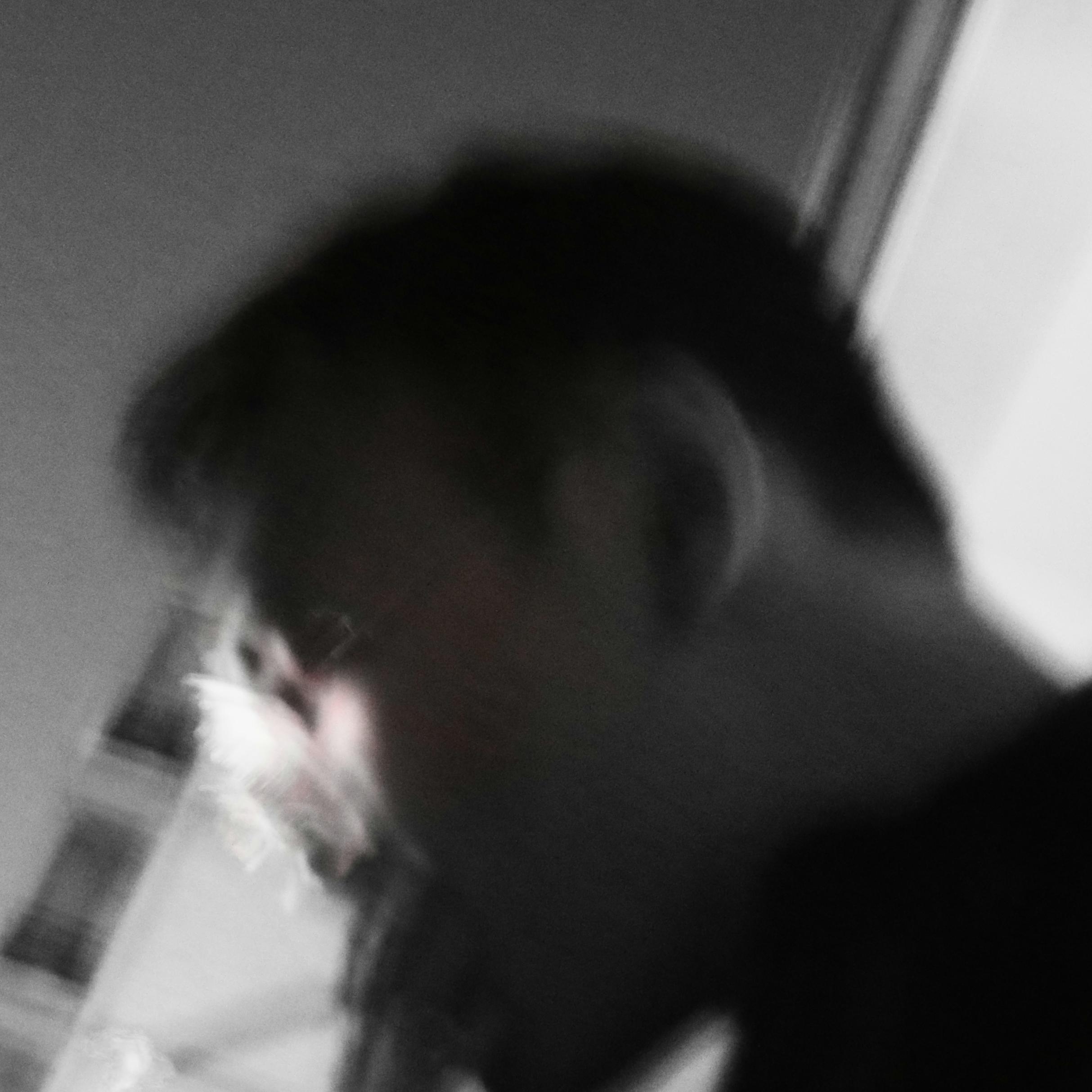 也许或者不也许封面