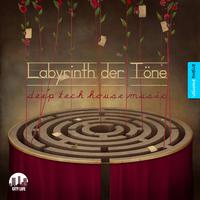 Labyrinth der Töne, Vol. 12 - Deep & Tech-House Music