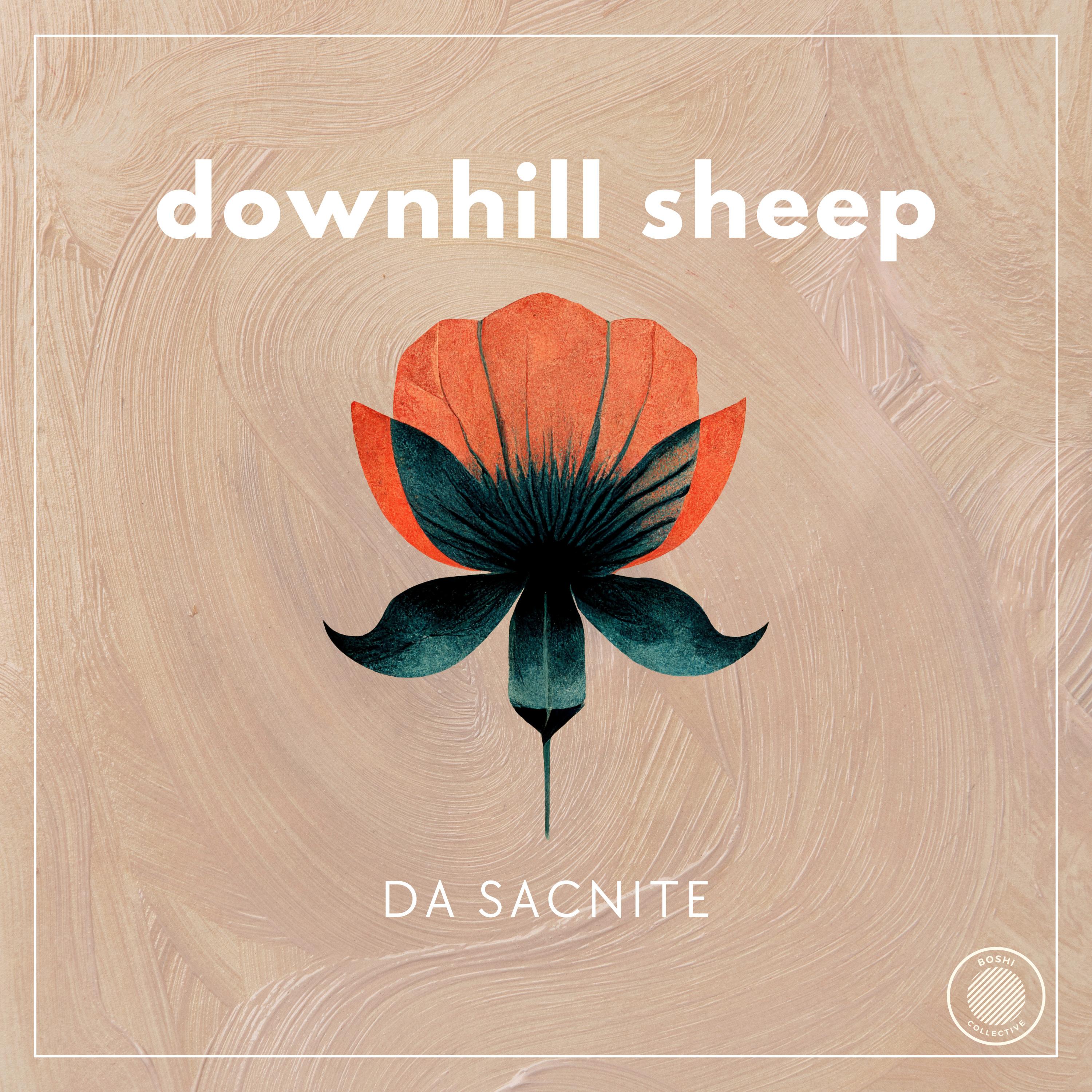 downhill sheep歌手：da sacnite发行时间：2024-01-05发行公司： bo