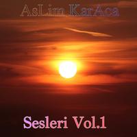 Sesleri, Vol. 1