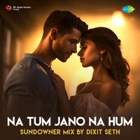 Na Tum Jano Na Hum - Sundowner Mix