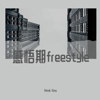 感悟期freestyle