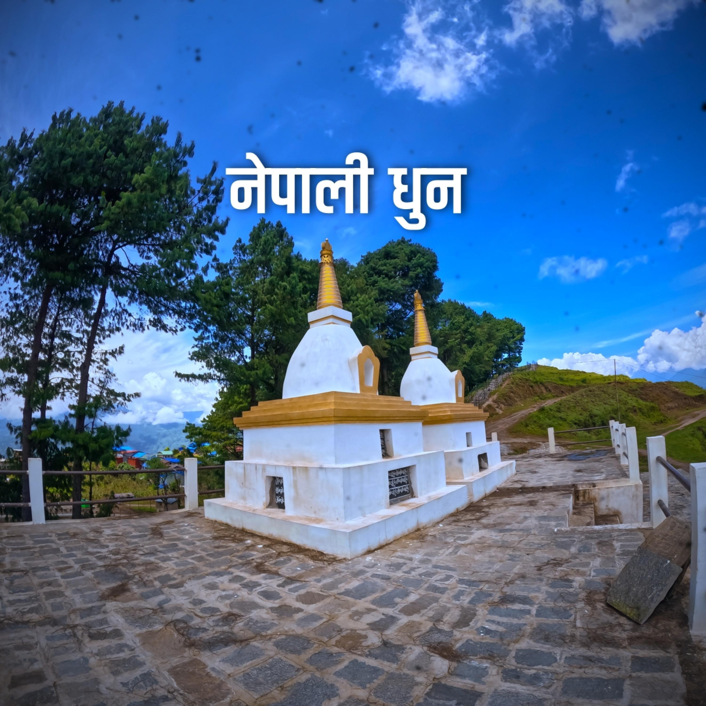 Nepali Typical Folk Music