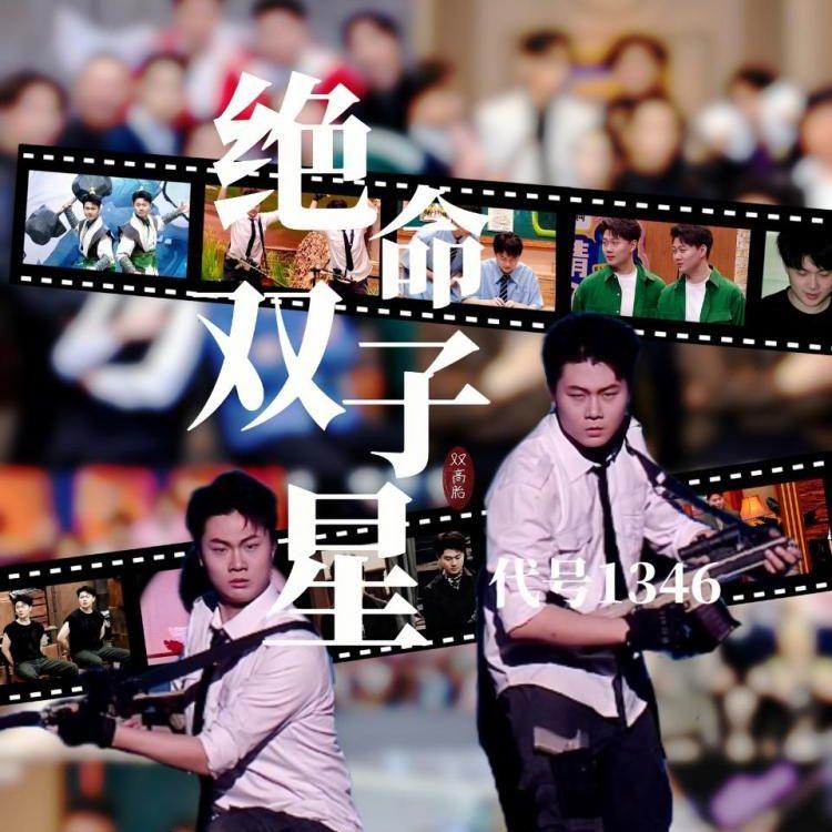 双子星 · 代号1346