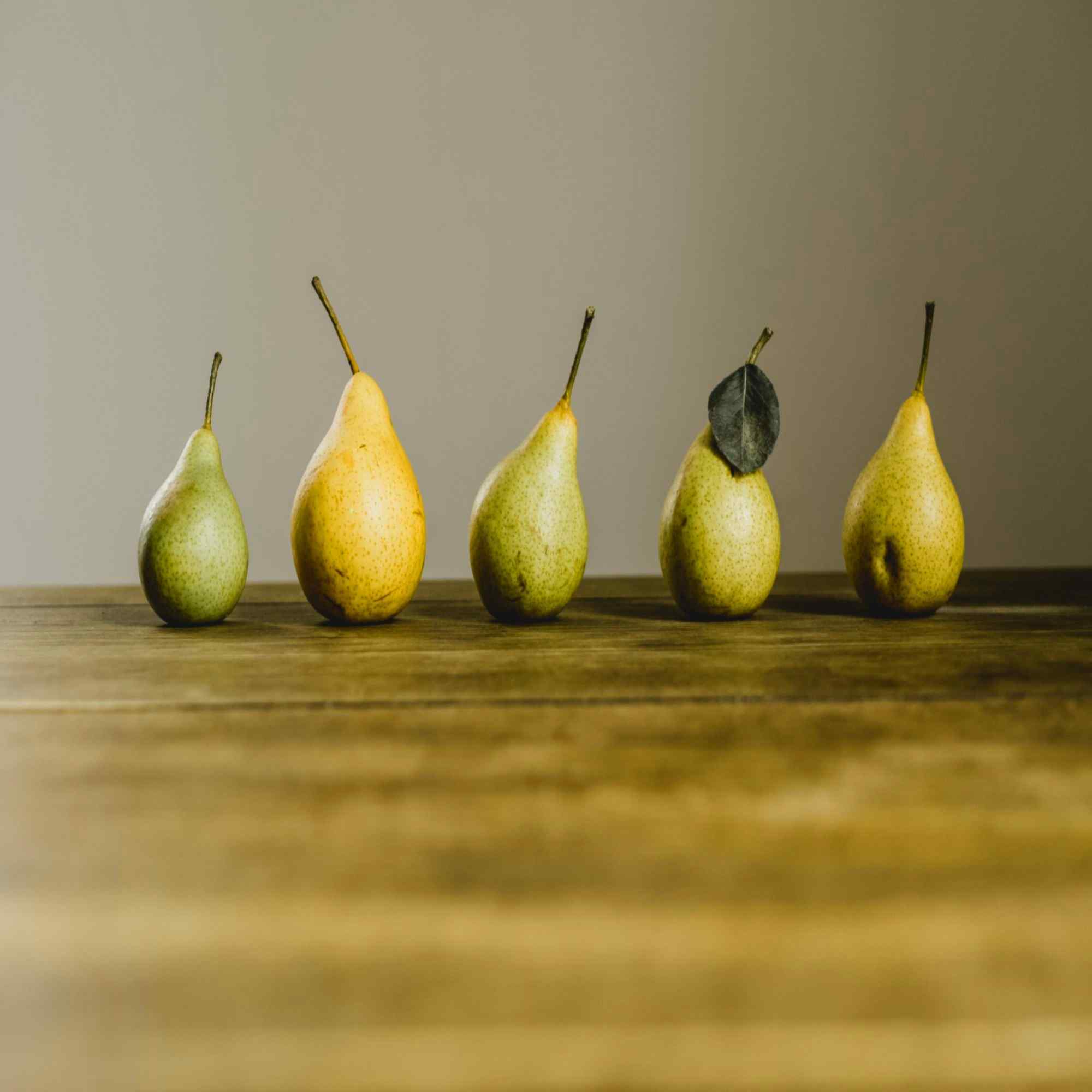 一尘不染餐馆印象数