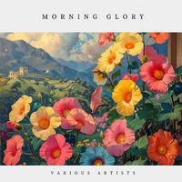 Morning Glory