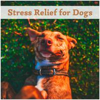 Stress Relief for Dogs - Calming Instrumental Music